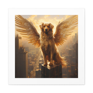 Sky High Furry King.