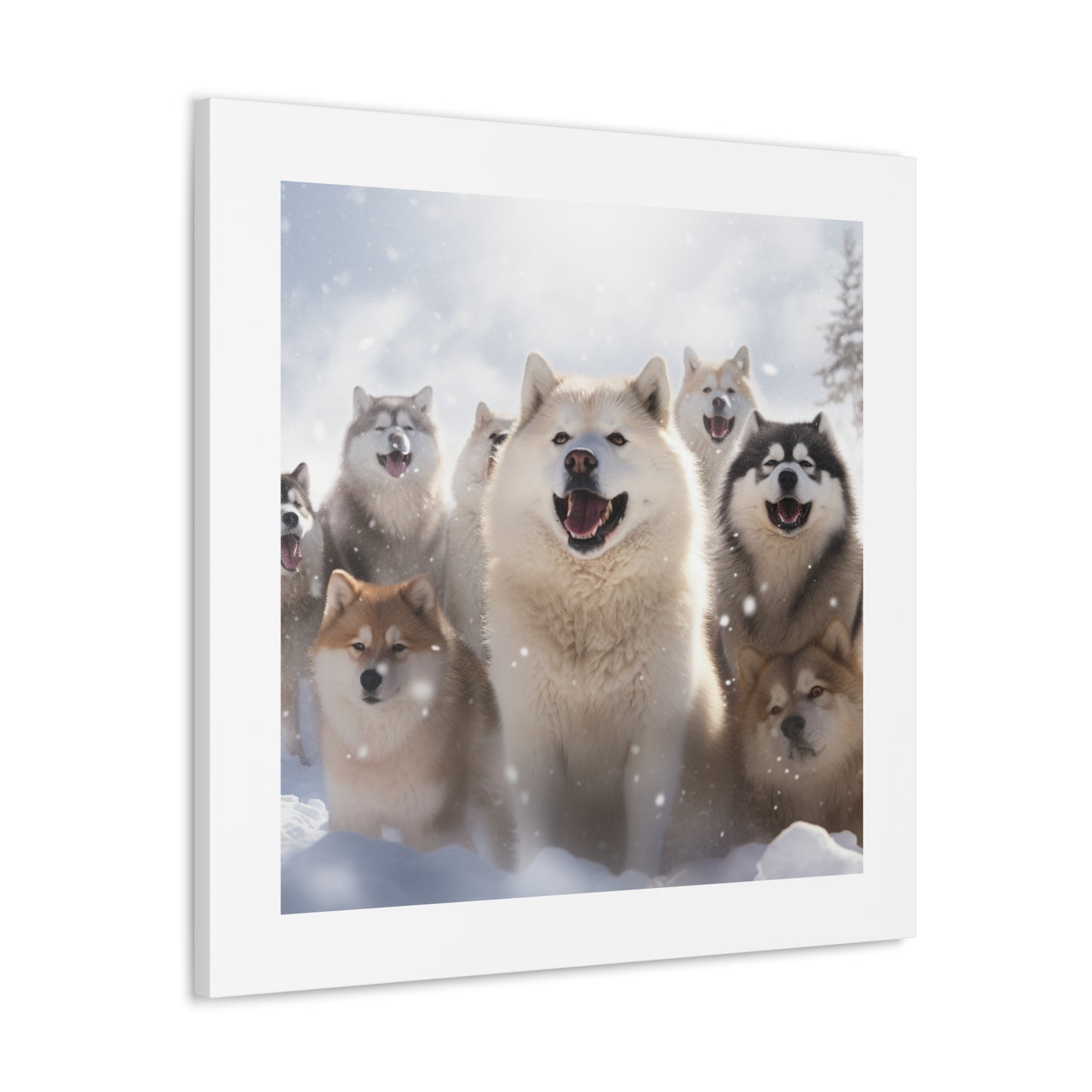 "Happy Dog Wonderland"