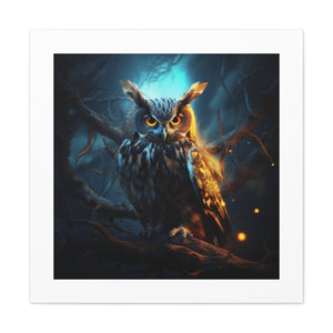 "Owl MasterMind 4K"