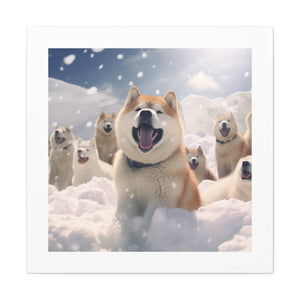 "Canine AdvenTails".