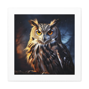 Wise Noctowatch, 4K.