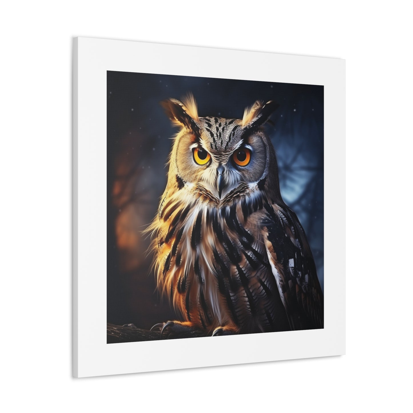 Wise Noctowatch, 4K.