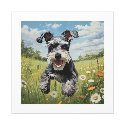 "Joyful Meadow Schnauzer Print"