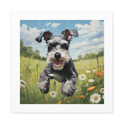 "Joyful Meadow Schnauzer Print"