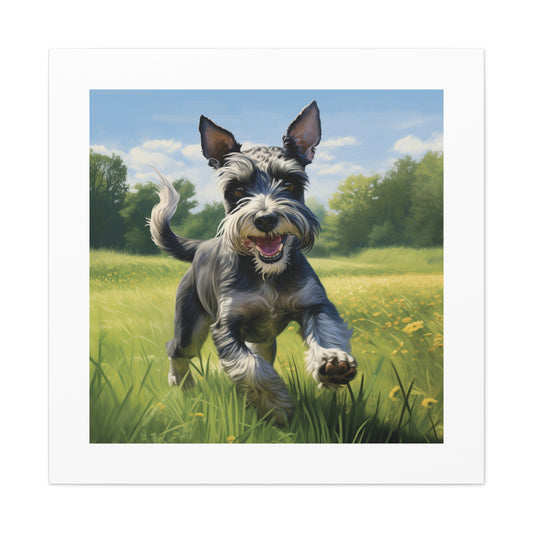 Jubilant Schnauzer Pasture Print