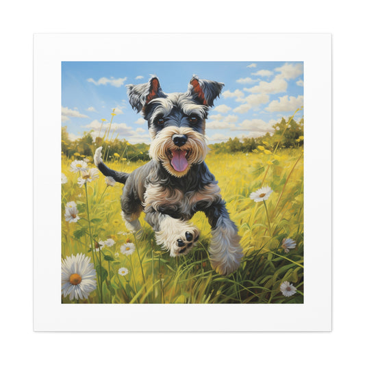 Joyful Mini Schnauzer Print