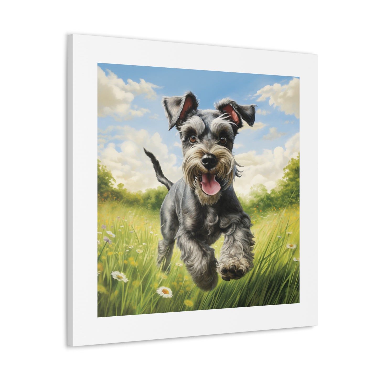 "Joyful Miniature Schnauzer Pasture"