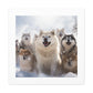 "Happy Dog Wonderland"