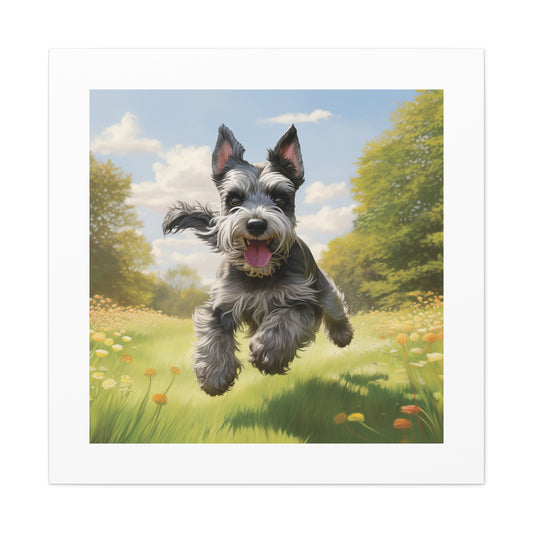 Joyful Schnauzer Canvas Print