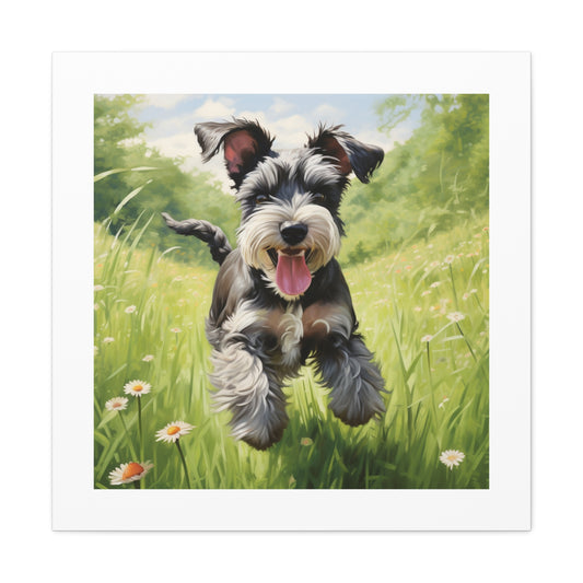 Joyful Schnauzer Meadow Print