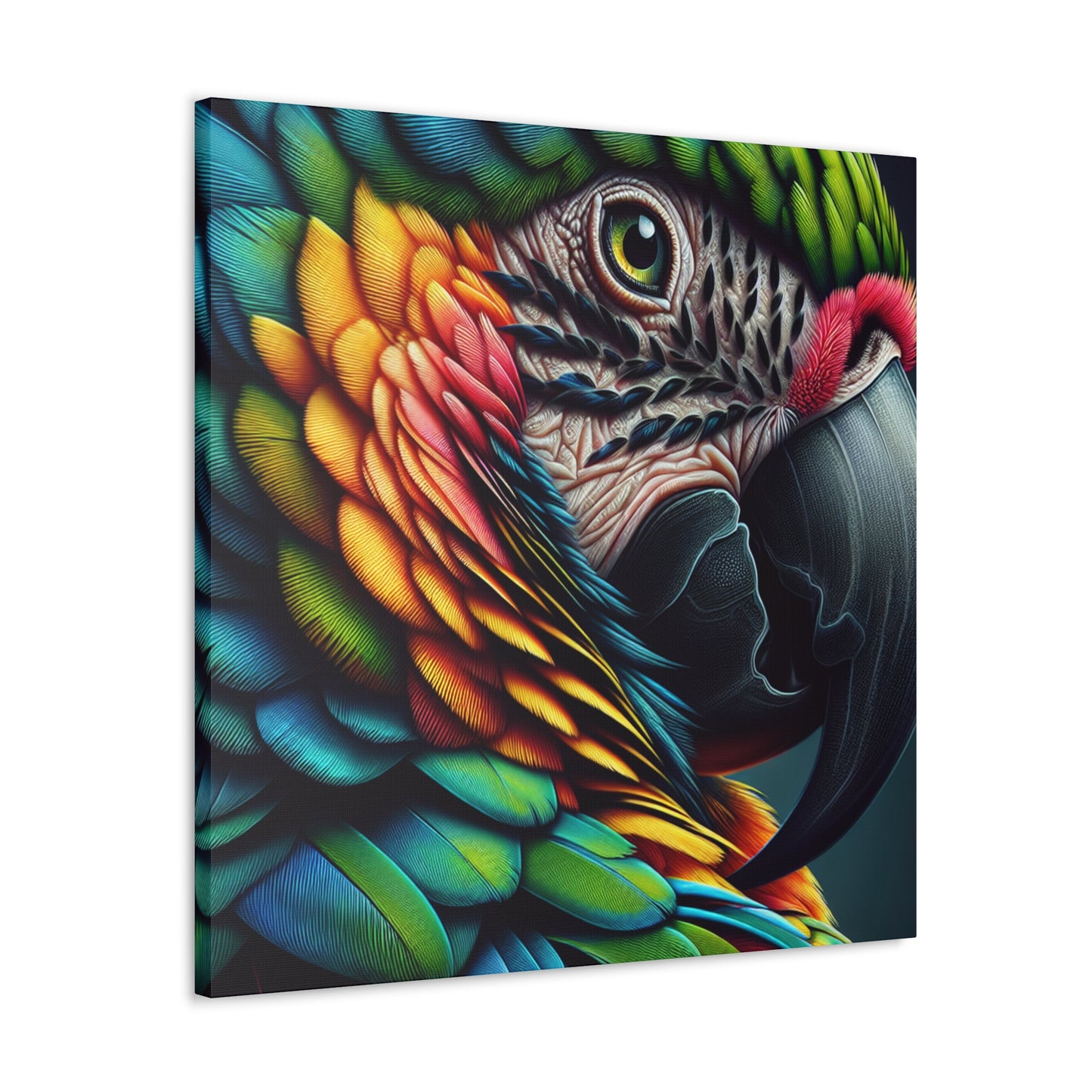 "Parrot Focus 4K Masterprint"