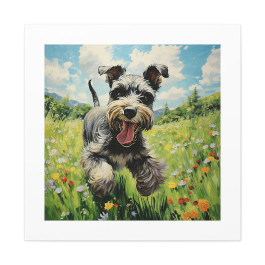 Playful Schnauzer Pastel View