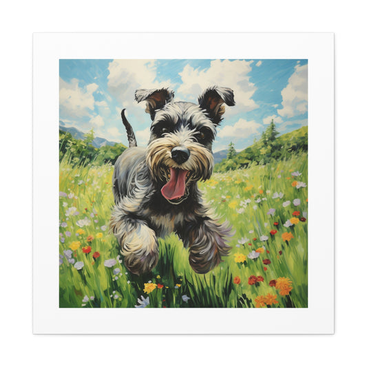 Playful Schnauzer Pastel View