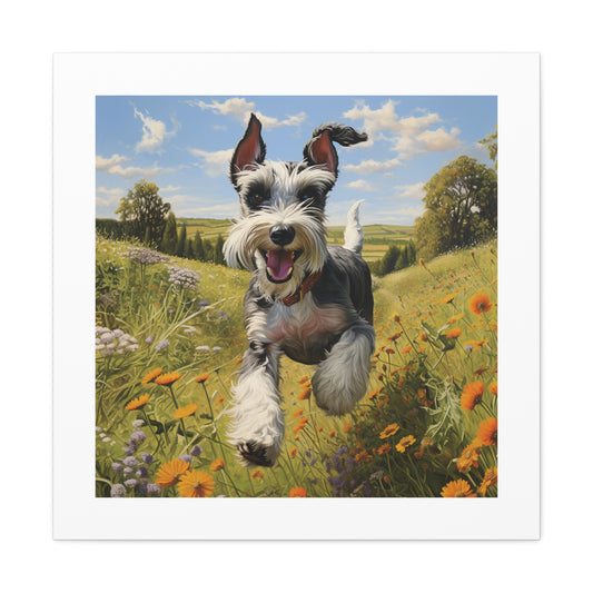 " Joyful Miniature Schnauzer Print"