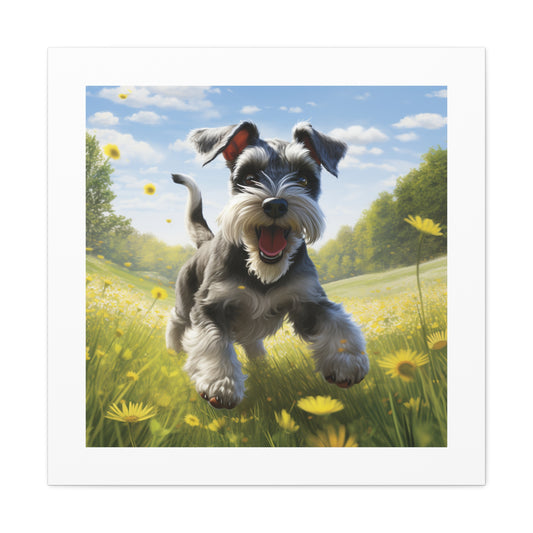 Joyful Schnauzer Pasture Canvas