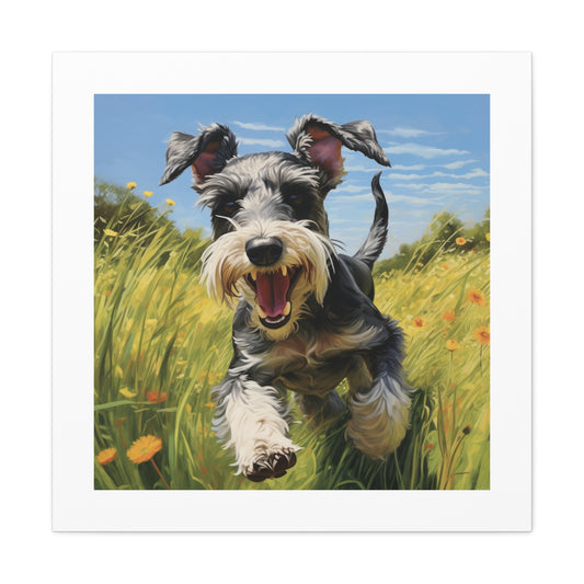 "Joyful Miniature Schnauzer Print"