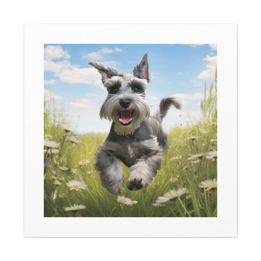 Joyful Schnauzer Canvas