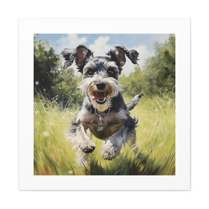 "Mini Schnauzer Vibrance Print"