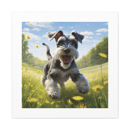 Joyful Schnauzer Pasture Canvas