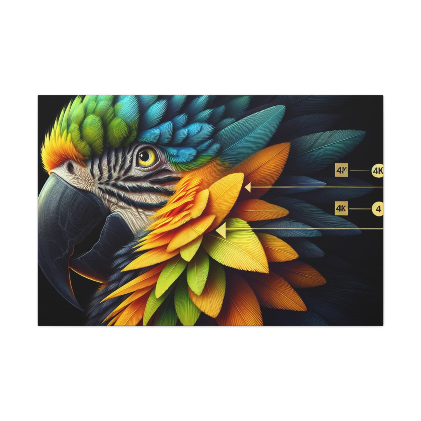 "4K Parrot Brilliance"