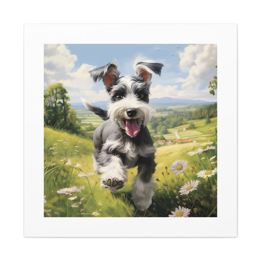 "Schnauzer's Pastoral Joy"