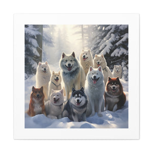 "Canine Snowland Clique"