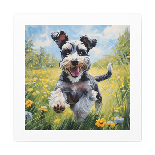 Joyful Schnauzer Canvas Print