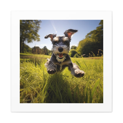 Joyful Schnauzer Haven print.