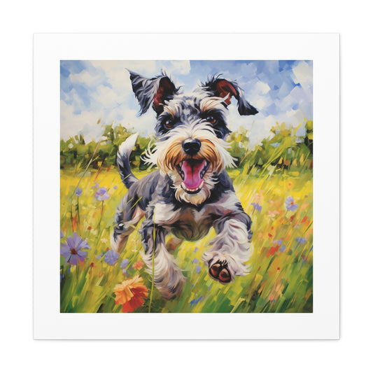 Joyful Mini-Schnauzer Canvas Print