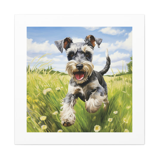 Lively Schnauzer Pasture Canvas