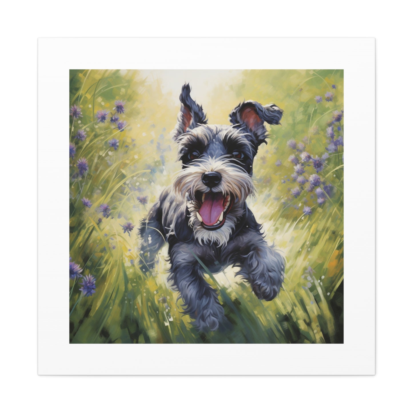 Mini Schnauzer Joyful Pasture