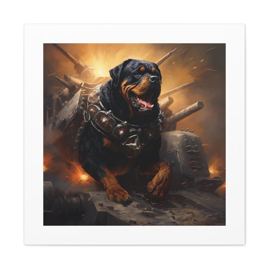 "Vigorous War-Worn Rottweiler"