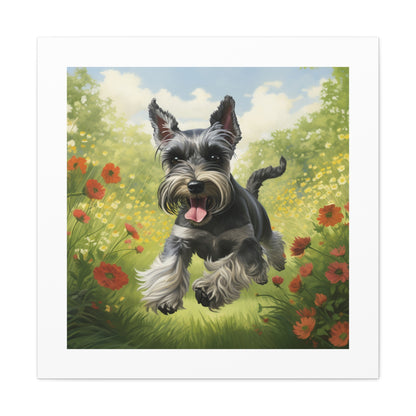 "Joyful Schnauzer Pasture Print"