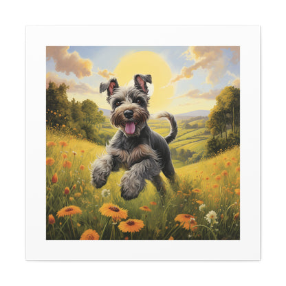 "Joyful Miniature Schnauzer Print"