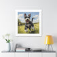 Mini Schnauzer Joy Print