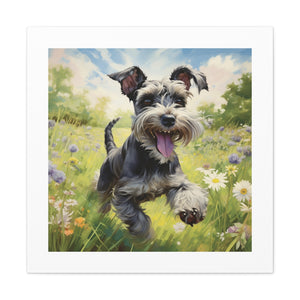 Joyful Schnauzer Pasture Print