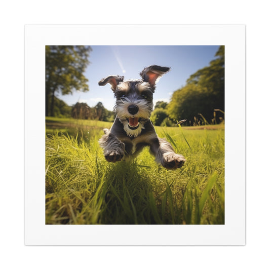 Joyful Schnauzer Haven print.