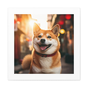 Shiba Smile Sunrise Splendor.