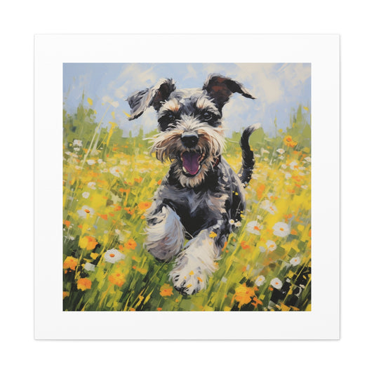 Joyful Miniature Schnauzer Print