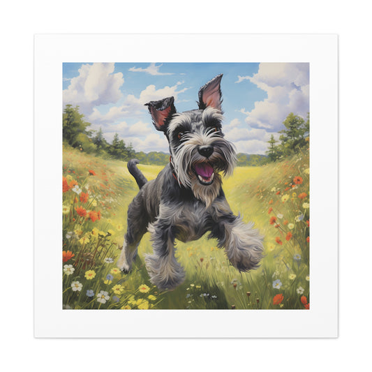 "Miniature Schnauzer Funscape"