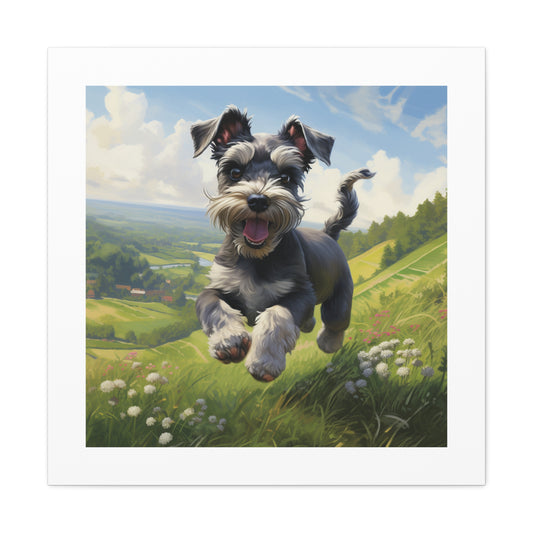 "Frolicking Schnauzer Canvas Print"