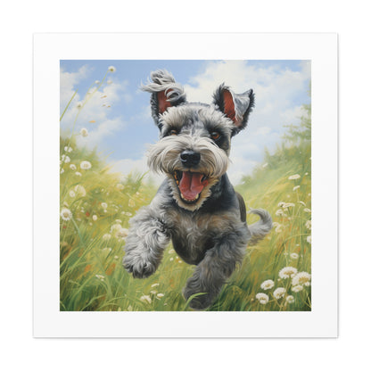 Vibrant Schnauzer Joy Print