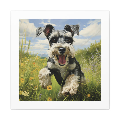 Joyful Schnauzer Pasture Print