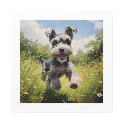 Joyful Frolicking Schnauzer Print