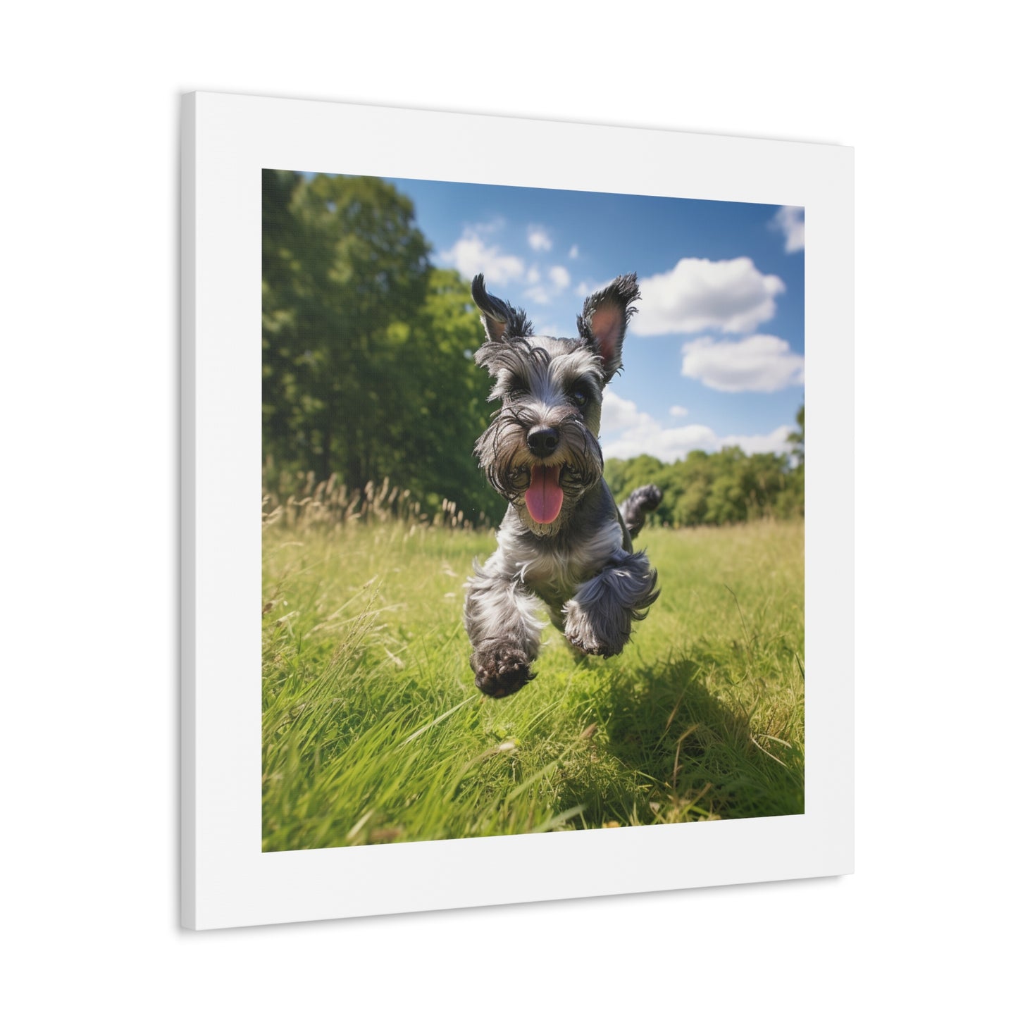 Joyful Schnauzer Pastoral Print