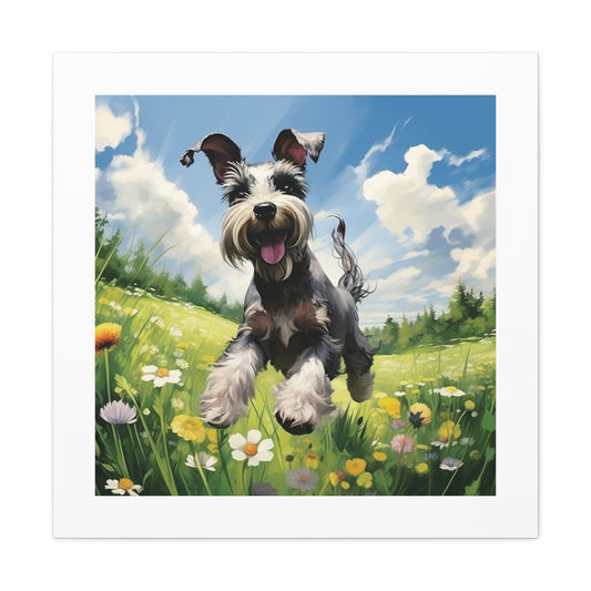 Miniature Schnauzer Pasture Print