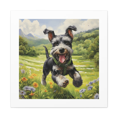 "Mini Schnauzer: Joyful Meadow"