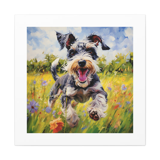 Joyful Mini-Schnauzer Canvas Print