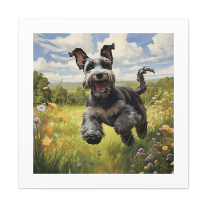 "Mini Schnauzer Joyful Moment"