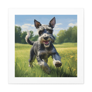 Jubilant Schnauzer Pasture Print